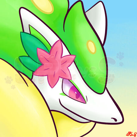 PMD style headshot