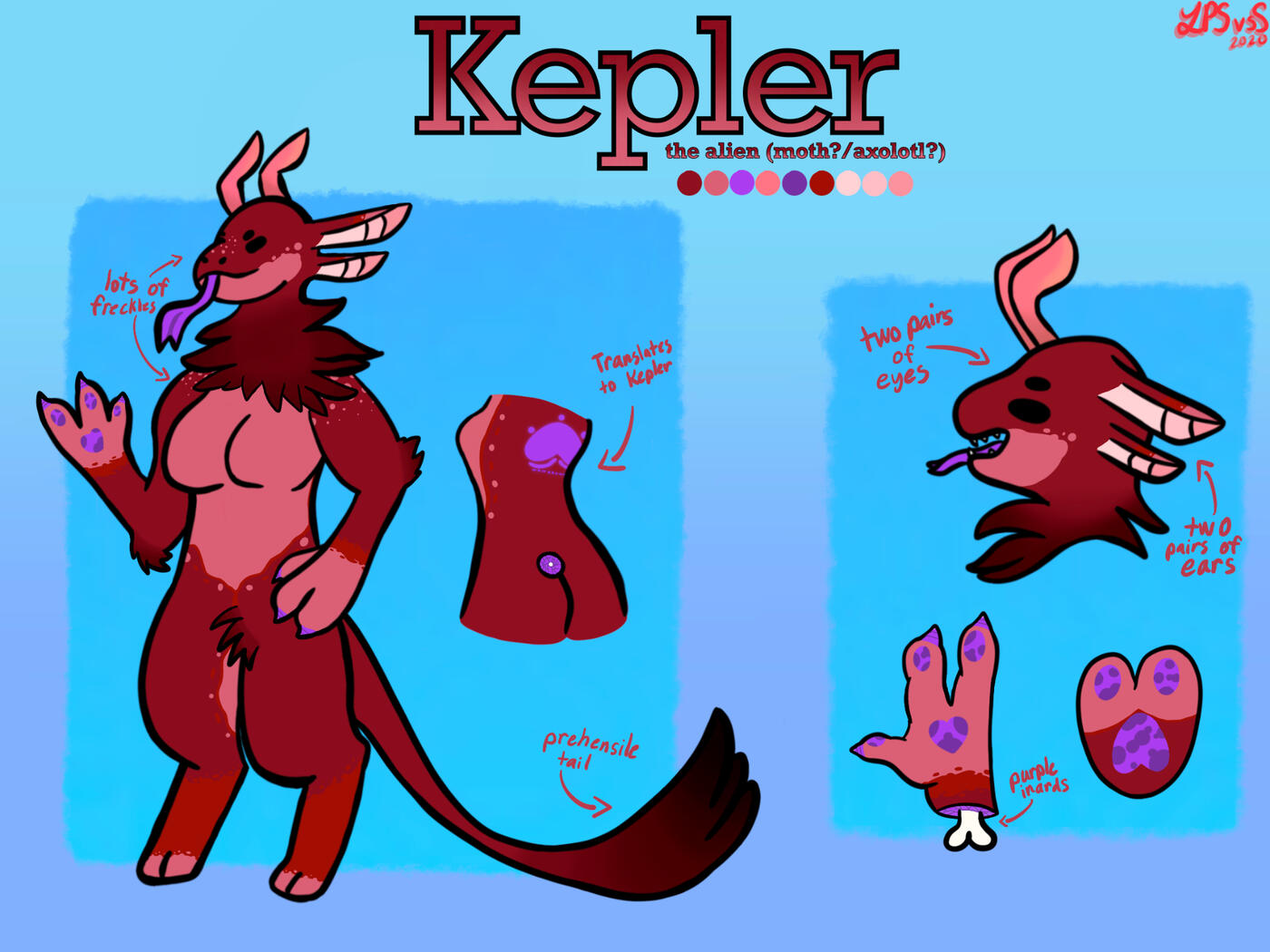 Kepler-ref